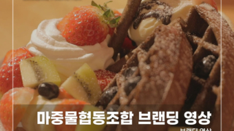 마중물협동조합-브랜딩-영상