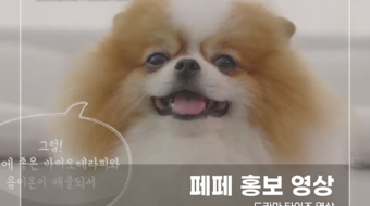 페페-홍보-영상