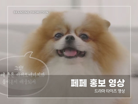 페페-홍보-영상