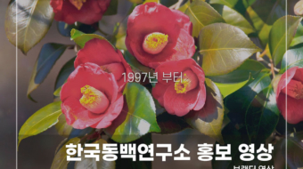 한국동백연구소-홍보-영상