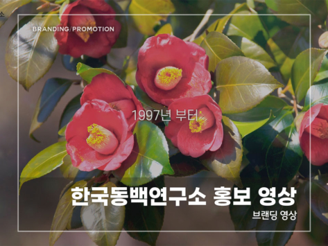 한국동백연구소-홍보-영상