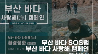 부산-바다-SOS랩-부산-바다-사랑해-캠페인