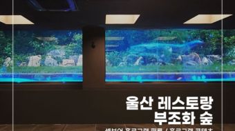 울산-부조화숲_v1