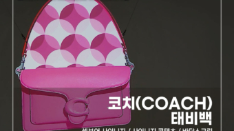 코치-태비백_v1